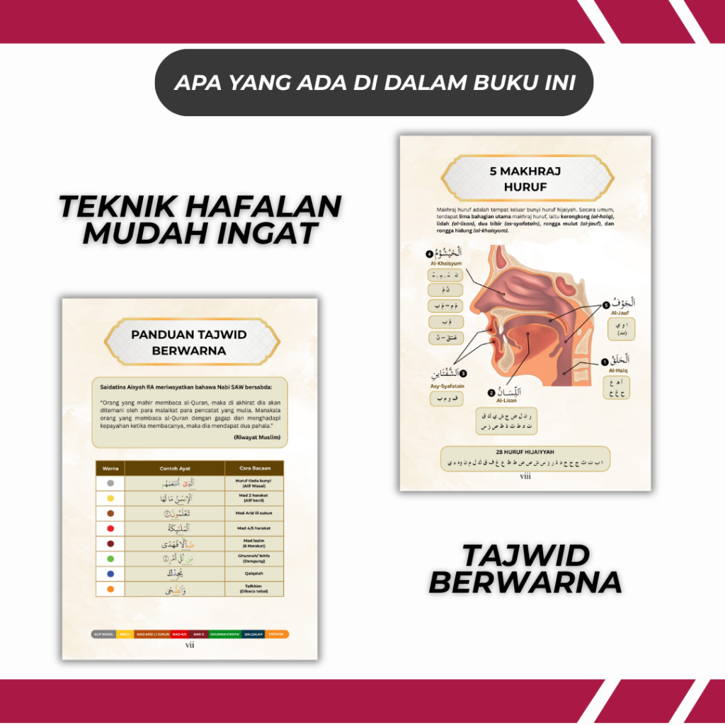 Teknik hafalan dan tajwid berwarna